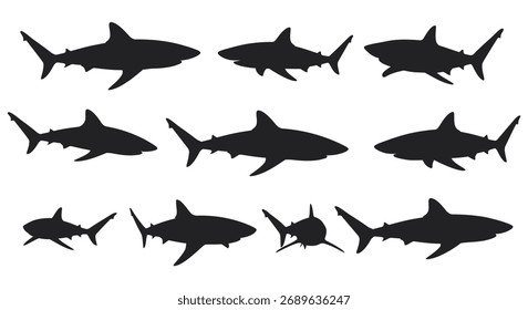Las Formas oscuras de tiburón se destacan con un estilo de silueta atrevido y distintivo.