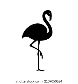 Dark silhouette of a flamingo on a white background.Vector illustration