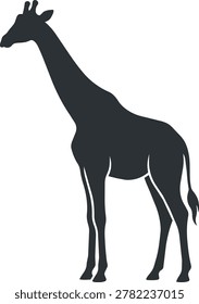 A dark silhouette of a giraffe showcases its iconic long neck and slender legs, a striking profile against a clean white backdrop.