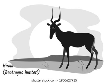 Dark silhouette of hirola antelope with a landscape. Endangered specie concept. Stock vector illustration