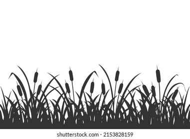 Dark Silhouette Of Marsh Grass With Reeds. Background With Marsh Vegetation On White.