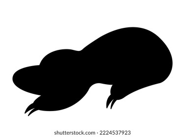 Dark silhouette of platypus. Unusual Australian animal with large beak. Biology and fauna, nature. Educational materials for children, learning and training. Cartoon flat vector illustration