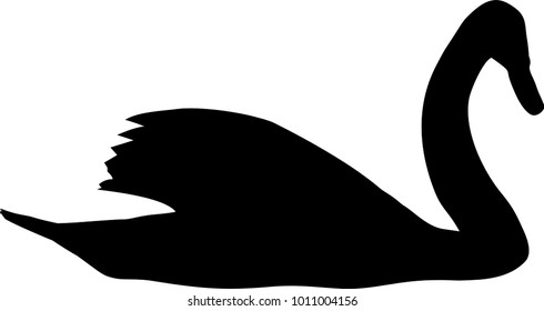 The dark silhouette of a swan