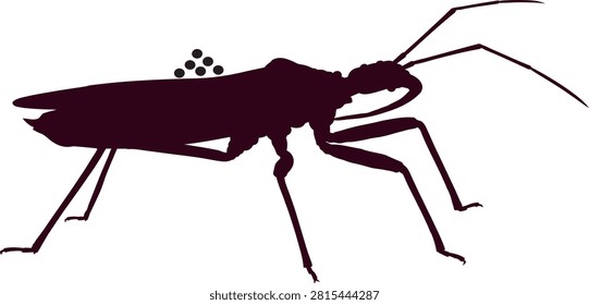A dark silhouette of a wheel bug or assassin bug with a cluster of eggs on its back, isolated against a plain white background.