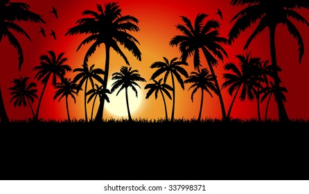 Dark silhouettes of palm trees in the evening sky