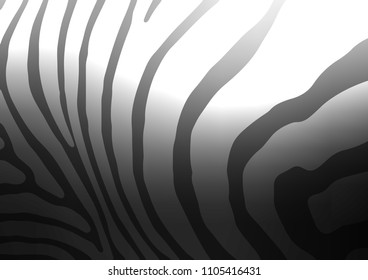 Dark Silver, Gray vector abstract doodle background. Colorful abstract illustration with lines in Asian style. The elegant pattern can be used as a part of a brand book.