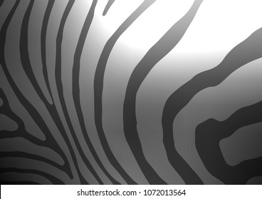 Dark Silver, Gray vector natural abstract stripe pattern. Doodles on blurred abstract background with gradient. The doodle design can be used for your web site.