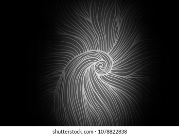 Dark Silver, Gray vector natural elegant background. Modern geometrical abstract illustration with doodles. A new texture for your design.