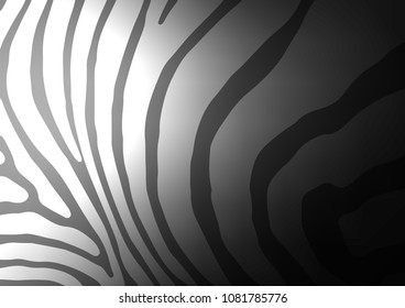 Dark Silver, Gray vector natural elegant template. Ethnic elegant natural pattern with gradient. A new texture for your design.