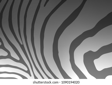 Dark Silver, Gray vector natural abstract template. Decorative shining illustration with doodles on abstract template. Brand-new style for your business design.