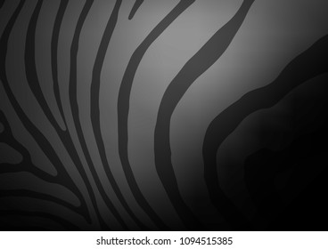 Dark Silver, Gray vector natural abstract texture. A vague abstract illustration with doodles in Indian style. The completely new template can be used for your brand book.
