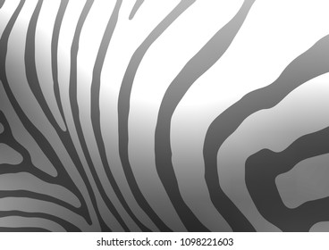 Dark Silver, Gray vector natural abstract background. Shining colored illustration with doodles in Zen tangle style. The pattern can be used for coloring books and pages for kids.
