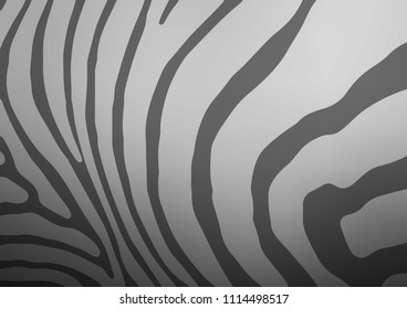 Dark Silver, Gray vector natural abstract pattern. A completely new color illustration in doodle style. The template can be used as a background for cell phones.