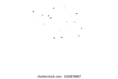 Dark Silver, Gray vector template with repeated sticks. Glitter abstract illustration with colored sticks. The pattern can be used for websites.