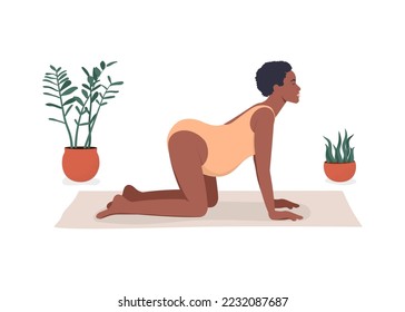 Dark skinned pregnant woman exercising during pregnancy. Mom with belly practicing prenatal yoga in cat pose. Mother in cow position. Vector illustration isolated on white background 