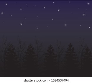 dark sky decorated with stars at night