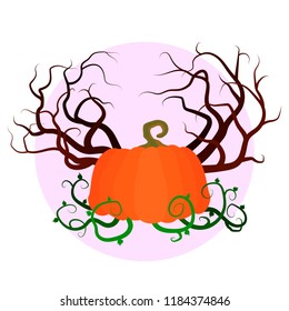 Dark sky, orange pumpkin and plants, Halloween symbol