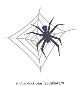 Dark spider and web, color illustration