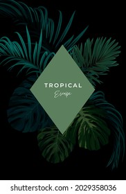 Dark summer tropical background with exotic palm leaves. Vector floral template.