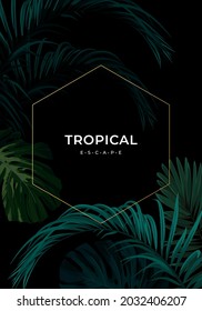 Dark summer tropical background with exotic palm leaves. Vector floral template.