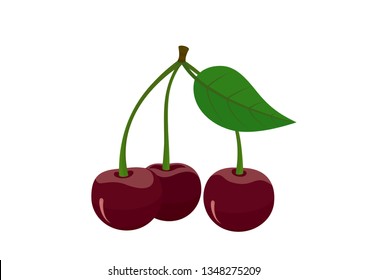 dark sweet cherries isolated vector image of garden berry fruit