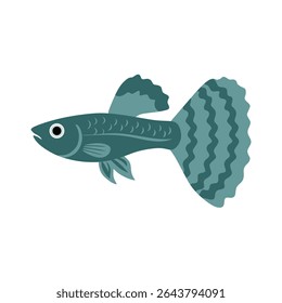 A dark teal guppy illustration with bold tail patterns and clean vector style, ideal for aquatic designs, branding, kids' books, or nature-inspired graphics.