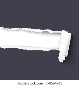 Dark torn paper with paper scroll over white background with copy space for your text . Vector paper with ripped edges.