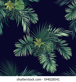 Fondo tropical oscuro con plantas de selva. Diseño tropical vectorial transparente con hojas de palma fénix verdes.
