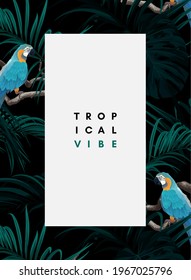 Dark tropical design with exotic monstera and royal palm leaves, blue macaws and branches. Vector illustration.