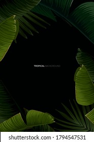 Dark tropical summer design with banana palm leaves, glowing frame and space for text. Vector flyer, banner or card template. Summer vector background.