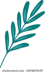 Dark twig with oval leaves, herb on transparent background