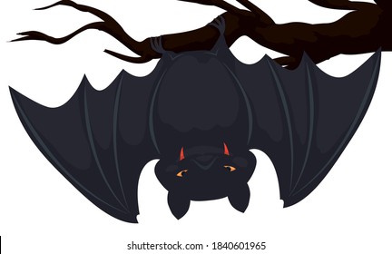 Dark vampire bat with bloody fangs and menacing stare, hanging in a dry branch, isolated over white background.