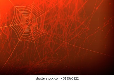 Dark vector background with spider web.