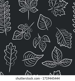 Dark vector seamless pattern with white contour leaves. Collection of hand drawn leaves Black-white vector illustration.