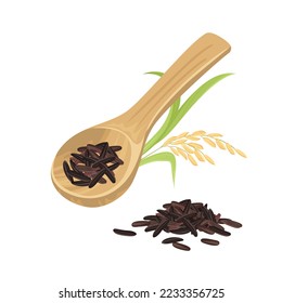 Dark wild rice in wooden spoon and ear isolated on white background. Vector cartoon illustration of rice seed.