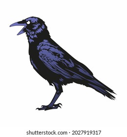 dark wing raven vector illustration