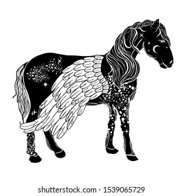 Dark, witchy illustration of Pegasus. Mystical creature. Tattoo art style. Bohemian vibes.