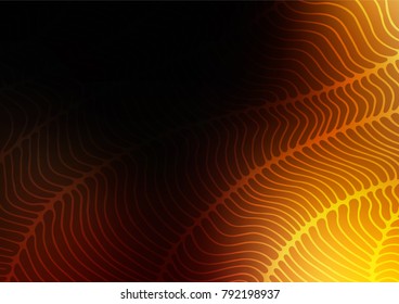 Dark Yellow, Orange vector indian curved texture. An elegant bright illustration with lines in Natural style. The doodle design can be used for your web site.
