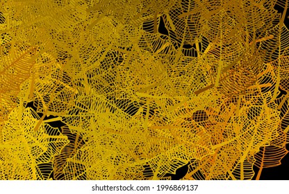Dark Yellow vector abstract backdrop with leaves. Leaves, flowers in natural style on white background. Colorful pattern for kid's books.