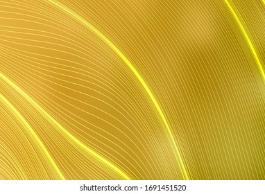 Dark Yellow vector blurred shine abstract texture. Abstract colorful illustration with gradient. Background for designs.