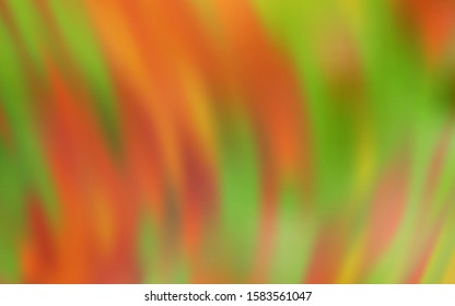 Dark Yellow vector blurred template. Colorful abstract illustration with gradient. New style design for your brand book.