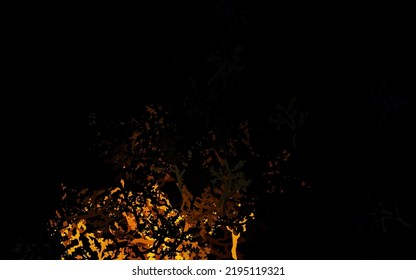 Dark Yellow vector elegant pattern with trees, branches. Modern geometrical abstract illustration with trees. Elegant pattern for your brand book.