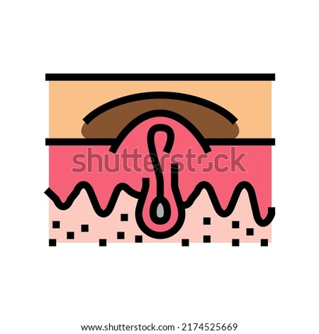 darkened skin color icon vector. darkened skin sign. isolated symbol illustration