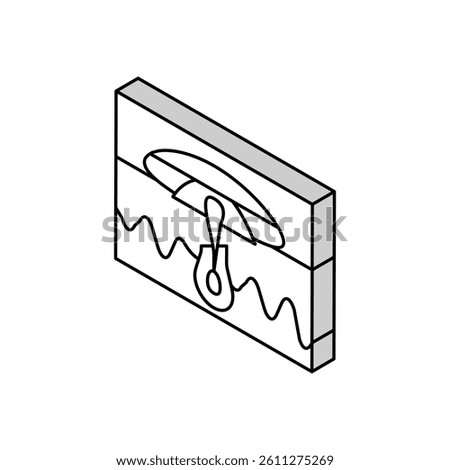 darkened skin isometric icon vector. darkened skin sign. isolated symbol illustration