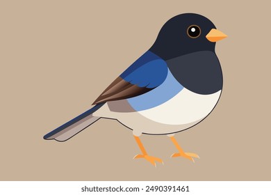 Dark-Eyed Junco Bird Vector icon art Illustration