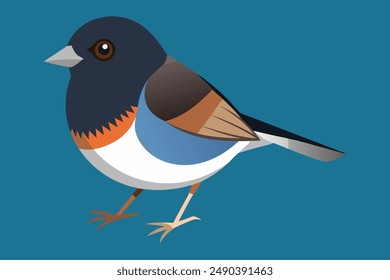 Dark-Eyed Junco Bird Vector icon art Illustration