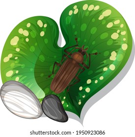 Darkling beetle bug on a leaf