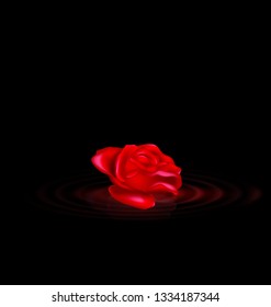darkness and the abstract red rose with black waves