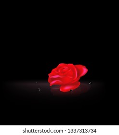 darkness and the abstract red rose with black beads