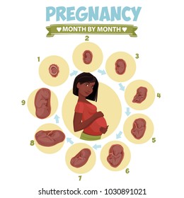 Dark-skinned pregnant  beautiful woman vector infographics. Pregnant woman.Pregnancy by trimester stages vector illustration. Female with fetus in belly.